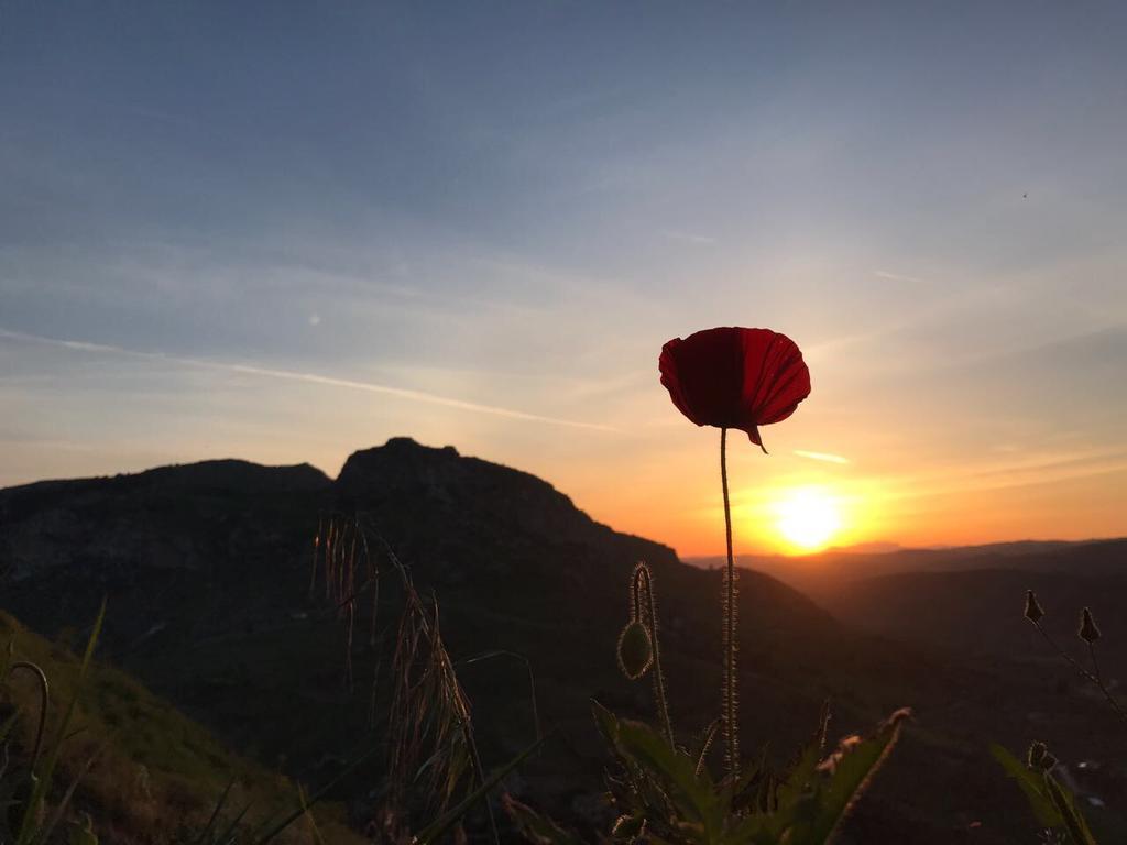 Agriturismo Tenuta San Giovanni Casale Leto SantʼAngelo Muxaro Esterno foto